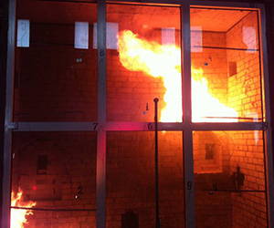 Противопожарные окна Электросталь